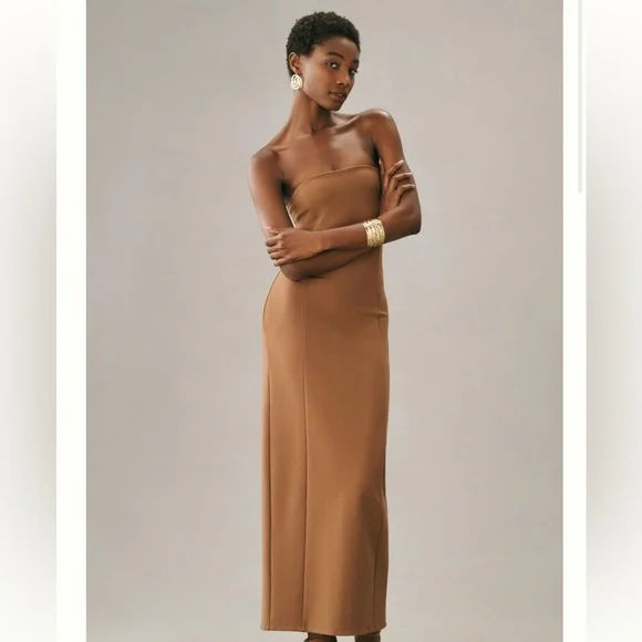 Anthropologie Sophie Rue Shaquille Strapples Dress Size Large - Picture 2 of 9